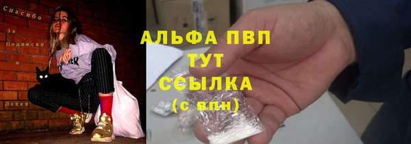 ПСИЛОЦИБИНОВЫЕ ГРИБЫ Магас