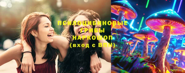 ПСИЛОЦИБИНОВЫЕ ГРИБЫ Магас