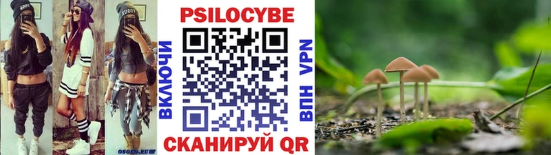 Псилоцибиновые грибы прущие грибы  Николаевск-на-Амуре 